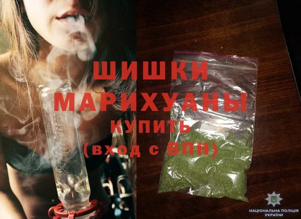 индика Новокубанск