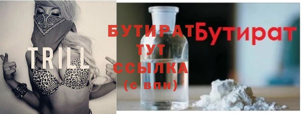 сатива Новодвинск