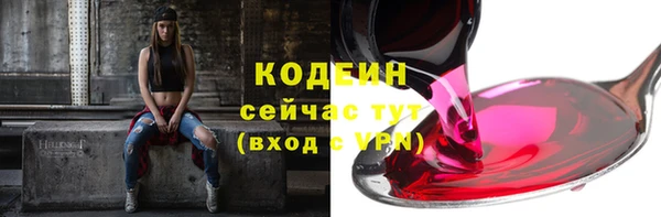сатива Новодвинск