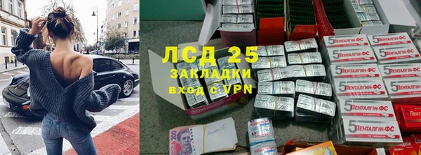 индика Новокубанск