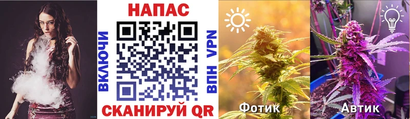 Каннабис Bruce Banner  KRAKEN рабочий сайт  Нахабино  что такое наркотик 